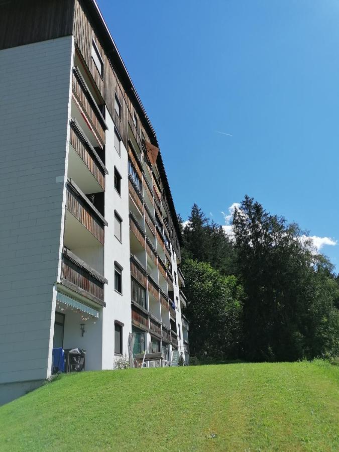 Apartment Fewo Irdning Pichlarn Aigen im Ennstal Exterior photo