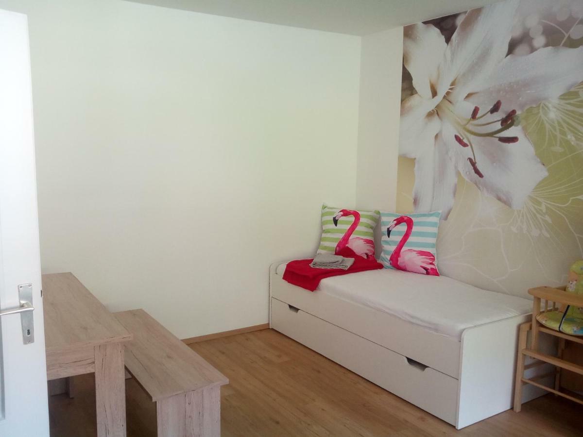Apartment Fewo Irdning Pichlarn Aigen im Ennstal Exterior photo