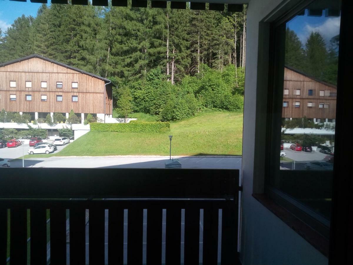 Apartment Fewo Irdning Pichlarn Aigen im Ennstal Exterior photo