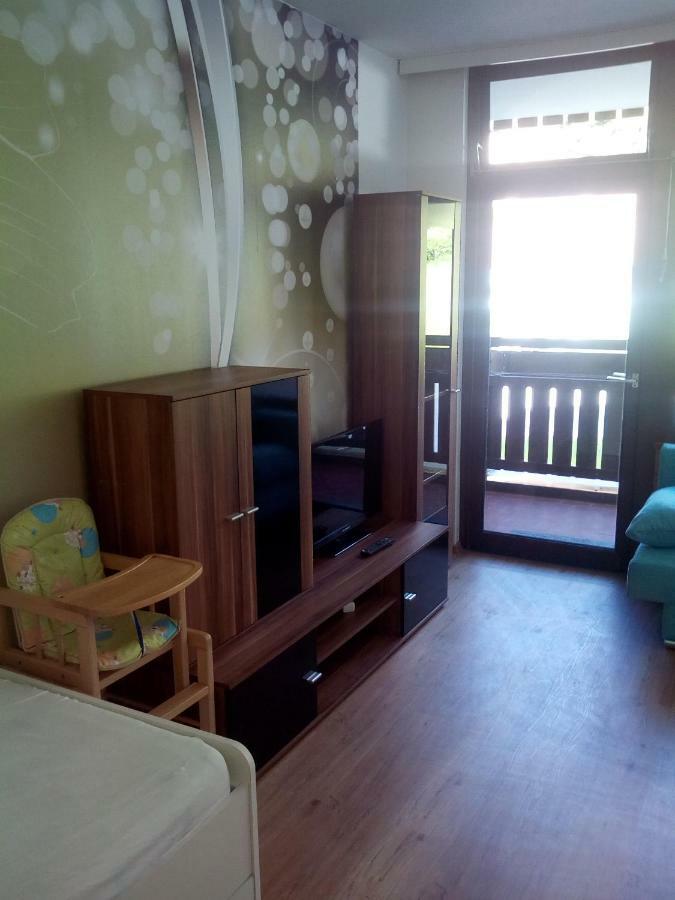 Apartment Fewo Irdning Pichlarn Aigen im Ennstal Exterior photo